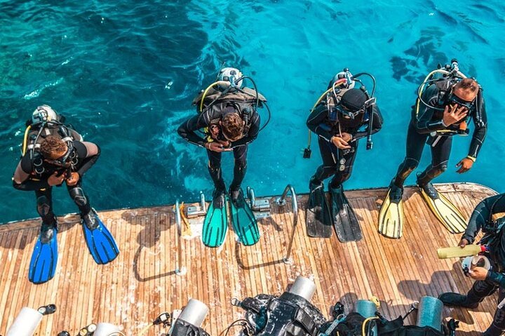 Sharm El Sheikh: Snorkeling and Diving to Ras Mohamed And White Island by VIP Boat