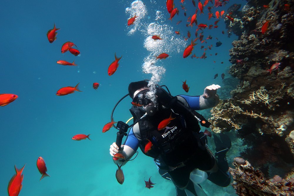 Sharm El Sheikh: Snorkeling and Diving to Ras Mohamed And White Island by VIP Boat