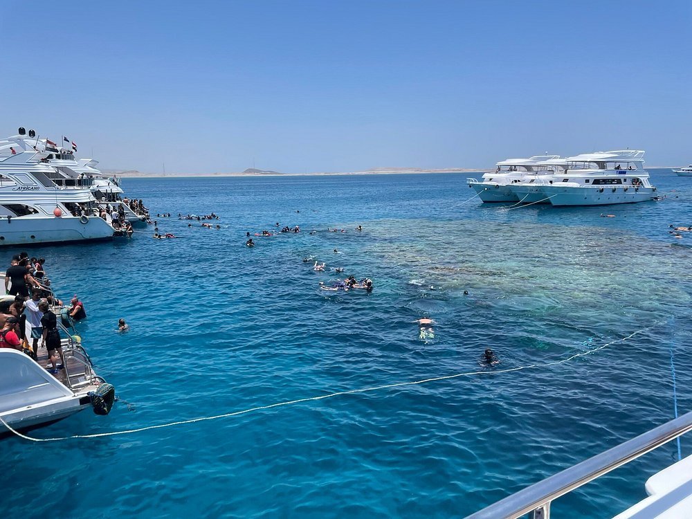 Sharm El Sheikh: Snorkeling Day Trip To Ras Mohamed and White Island by boat