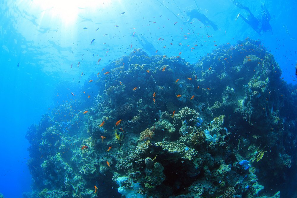 Sharm El Sheikh: Snorkeling Day Trip To Ras Mohamed and White Island by boat