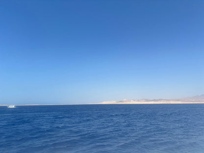 Sharm El Sheikh: Snorkeling Day Trip To Ras Mohamed and White Island by boat