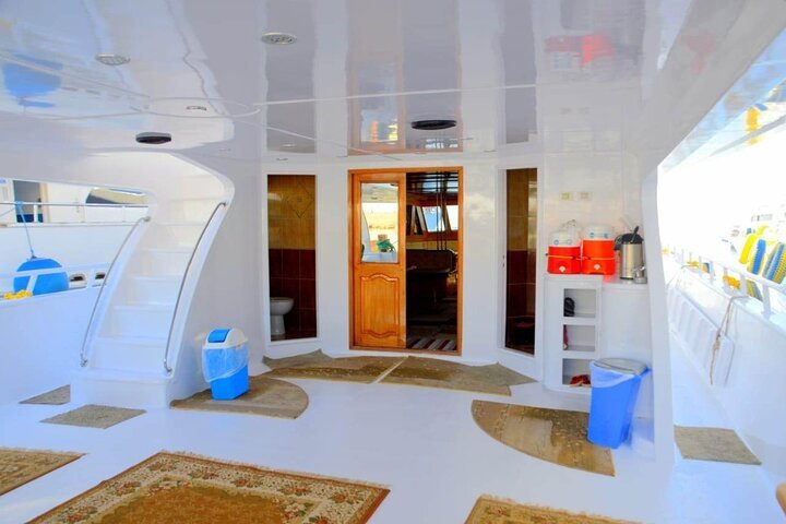 Sharm El Sheikh: Snorkeling Day Trip To Ras Mohamed and White Island by boat