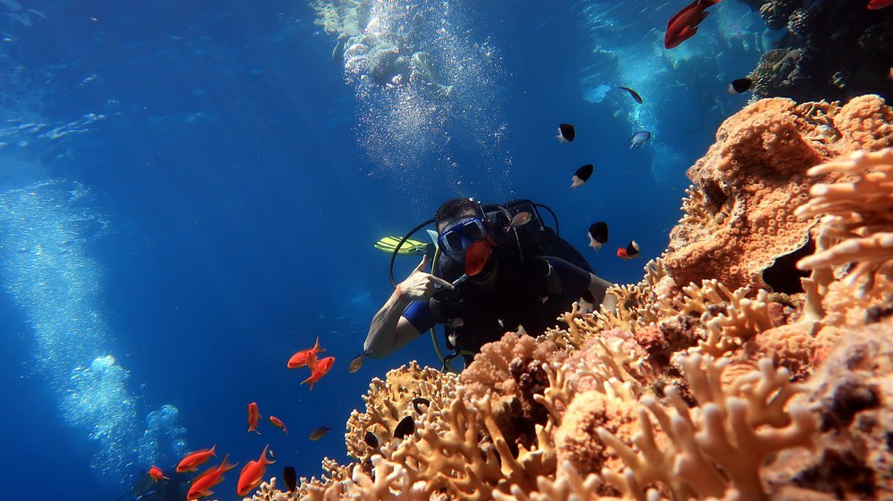 Sharm El Sheikh: Snorkeling Day Trip To Ras Mohamed and White Island by boat