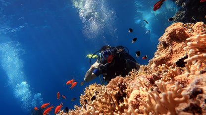 Sharm El Sheikh: Snorkeling Day Trip To Ras Mohamed and White Island by boat