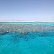 Sharm El Sheikh: Snorkeling in Ras Mohammed and White Island Visit