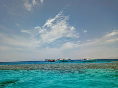 Sharm El Sheikh: Snorkeling in Tiran Island