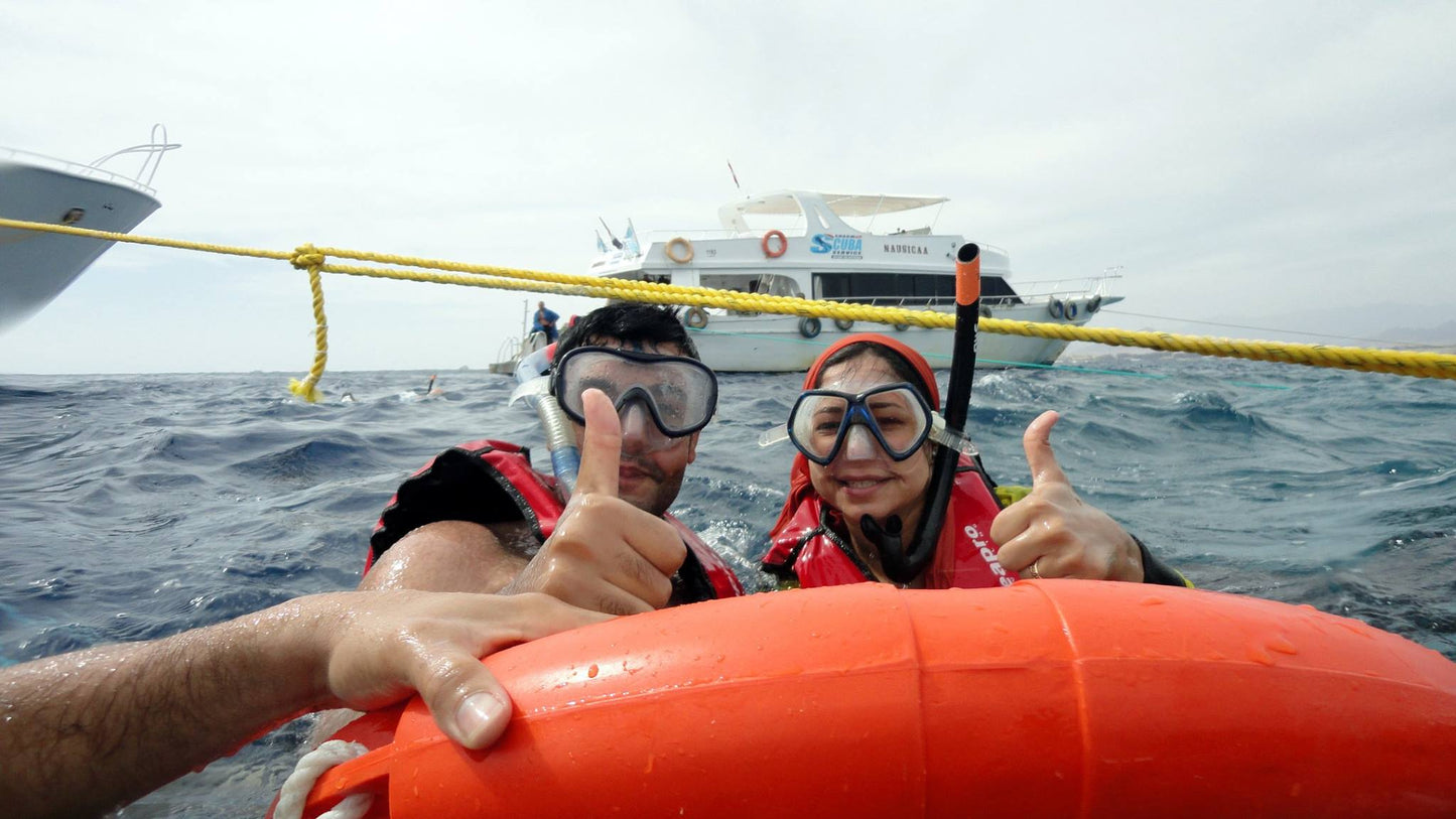 Sharm El Sheikh: Snorkeling in Tiran Island