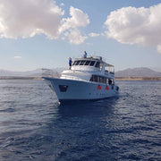 Sharm El Sheikh: Snorkeling in Tiran Island