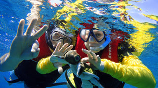Sharm El Sheikh: Snorkeling in Tiran Island