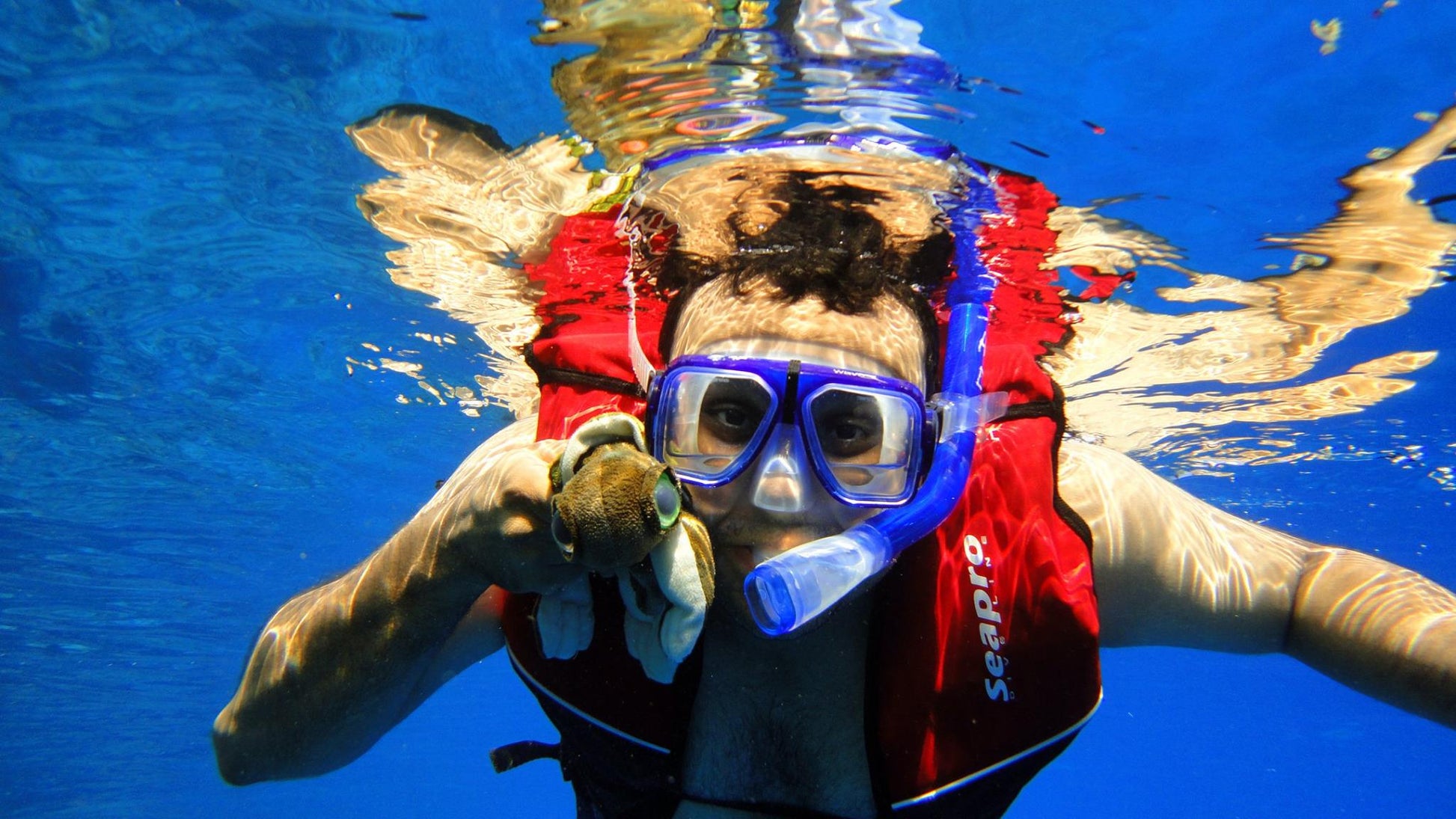 Sharm El Sheikh: Snorkeling in Tiran Island