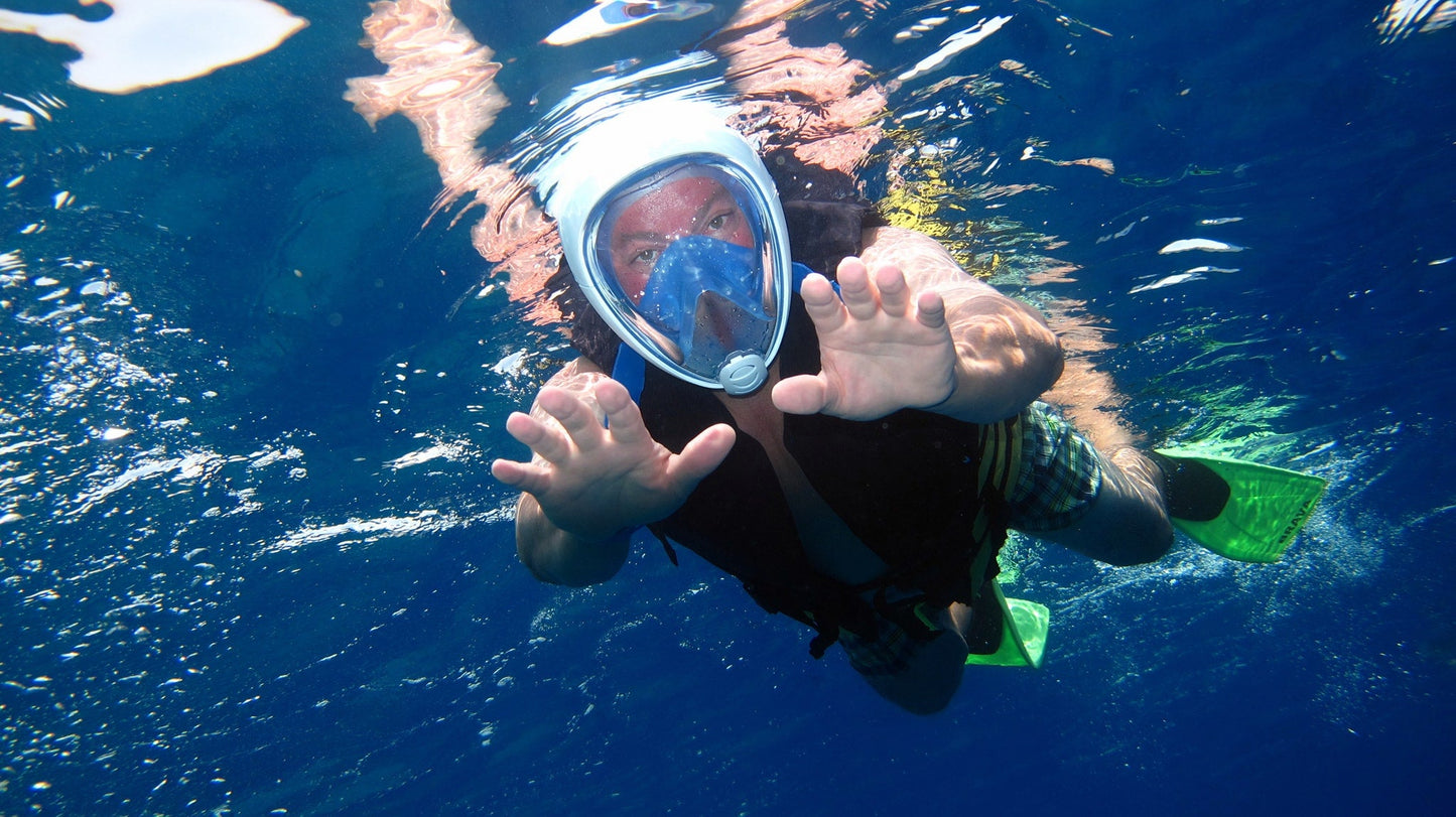 Sharm El Sheikh: Snorkeling in Tiran Island