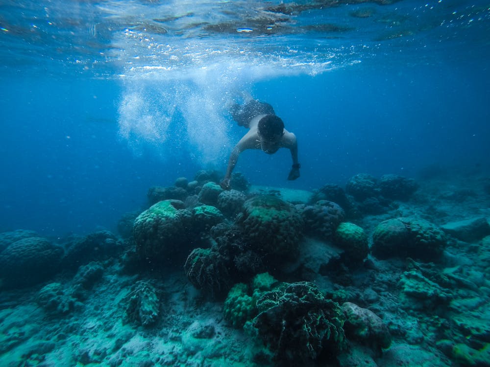 Sharm El Sheikh: Snorkeling Trip to Ras Mohammed by Boat from Sharm El Sheikh