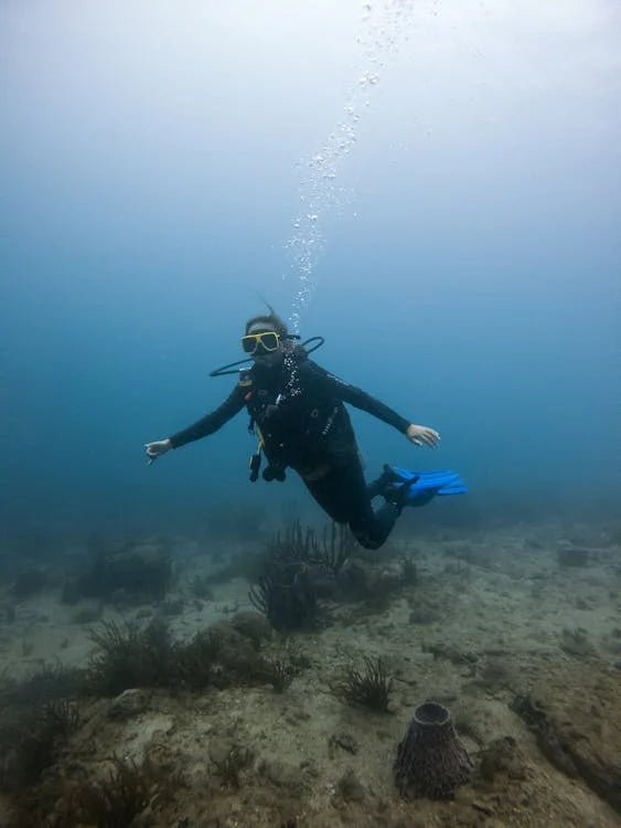 Sharm El Sheikh: Tiran Island Diving Trip for Certified Divers