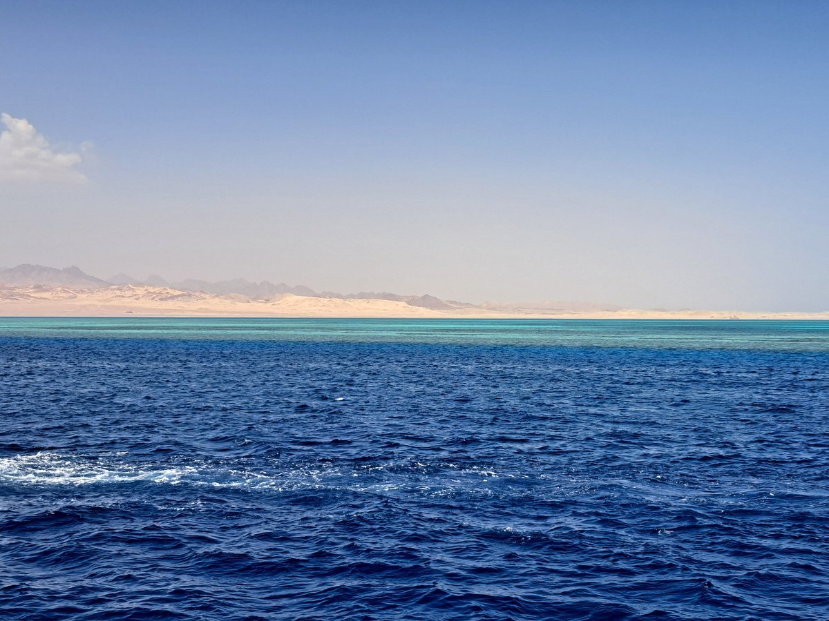 Sharm El Sheikh: Tiran Island Diving Trip for Certified Divers