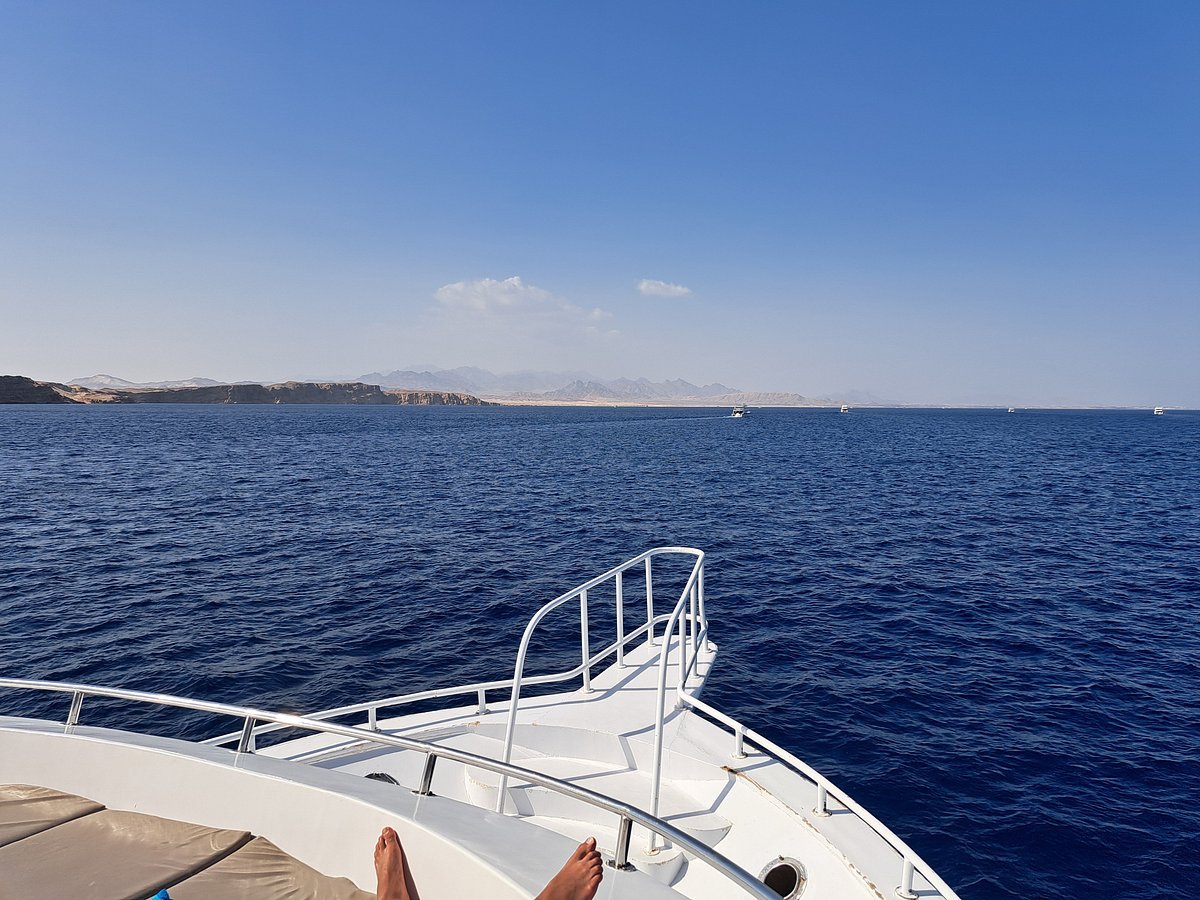 Sharm El Sheikh: Tiran Island Diving Trip for Certified Divers