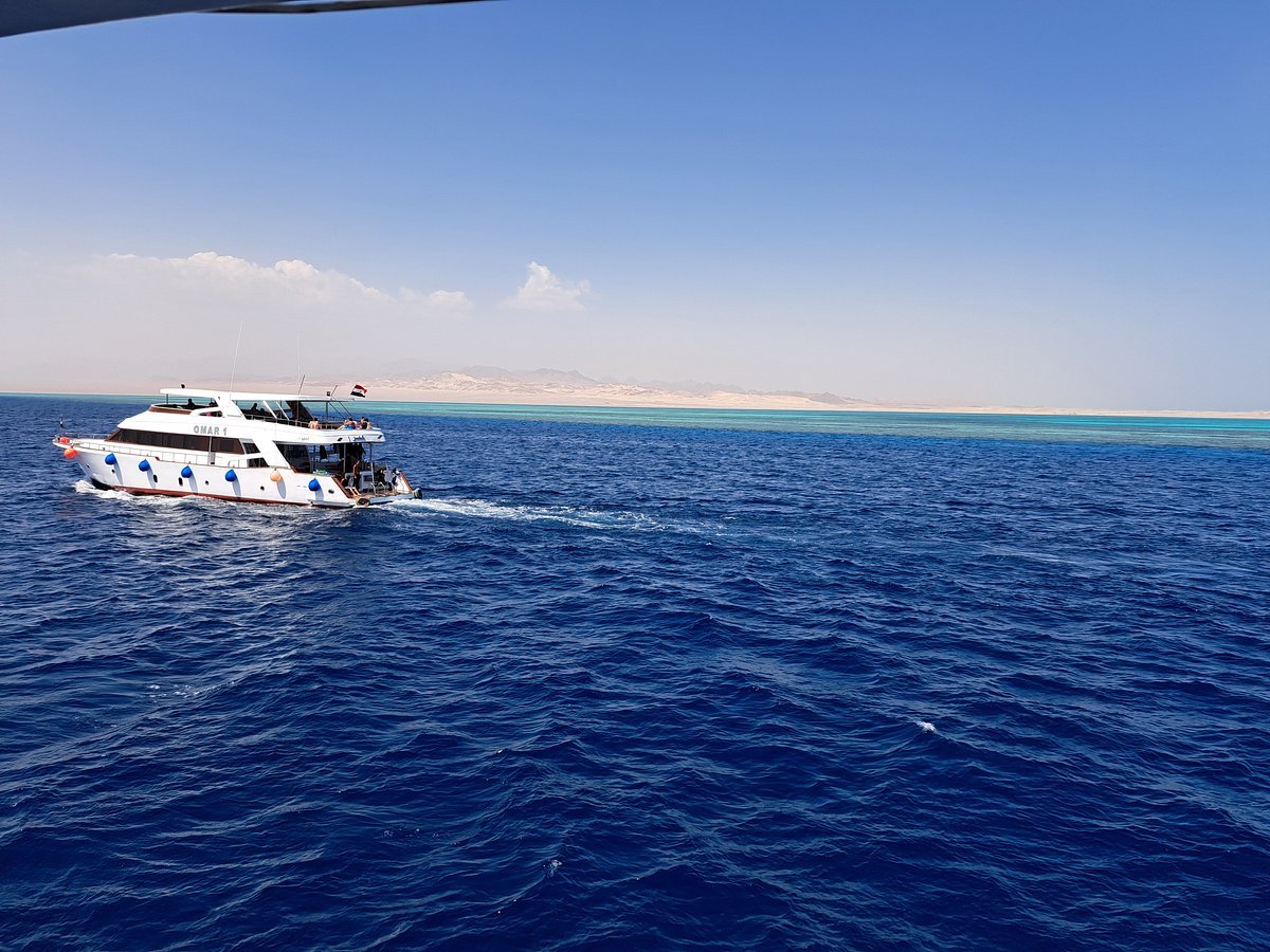 Sharm El Sheikh: Tiran Island Diving Trip for Certified Divers