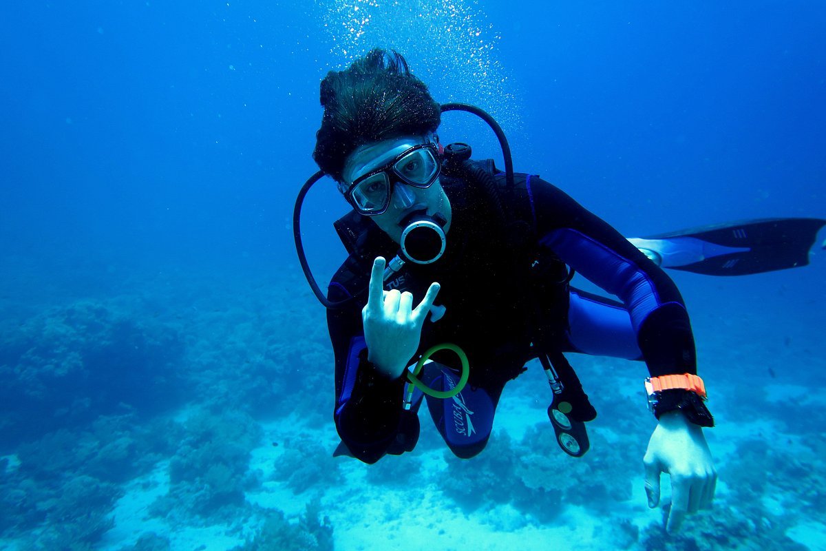 Sharm El Sheikh: Tiran Island Diving Trip for Certified Divers