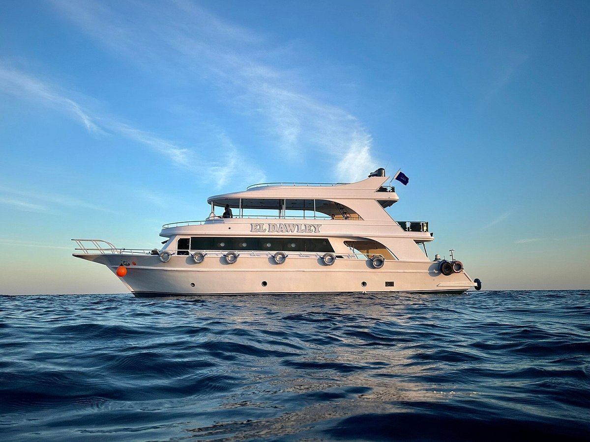 Sharm El Sheikh: Tiran Island Diving Trip for Certified Divers