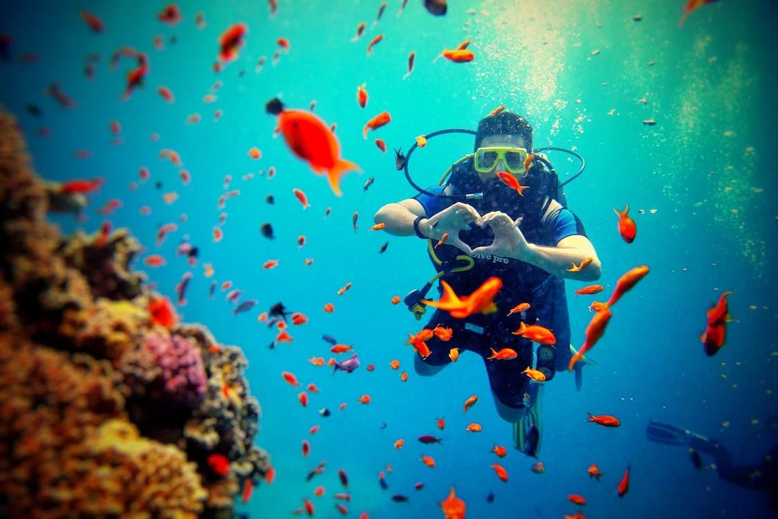 Sharm El Sheikh: Tiran Island Diving Trip for Certified Divers