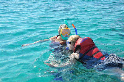 Sharm El Sheikh: Tiran Island Snorkeling and Blue Lagoon Boat Trip