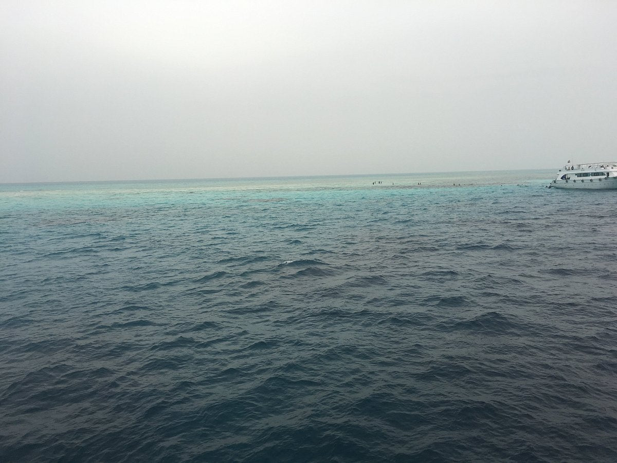 Sharm El Sheikh: Tiran Island Snorkeling and Blue Lagoon Boat Trip