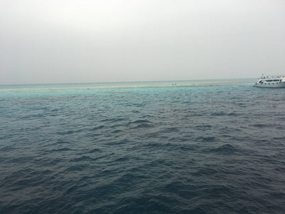 Sharm El Sheikh: Tiran Island Snorkeling and Blue Lagoon Boat Trip