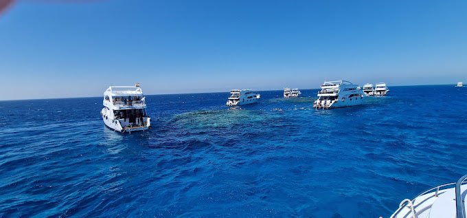 Sharm El Sheikh: Tiran Island Snorkeling and Blue Lagoon Boat Trip