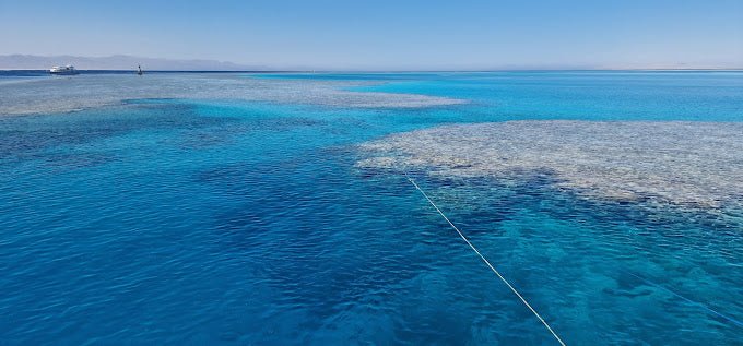 Sharm El Sheikh: Tiran Island Snorkeling and Blue Lagoon Boat Trip