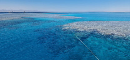 Sharm El Sheikh: Tiran Island Snorkeling and Blue Lagoon Boat Trip