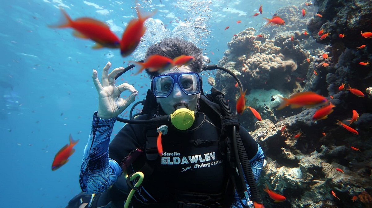 Sharm El Sheikh: Tiran Island Snorkeling and Diving Adventure