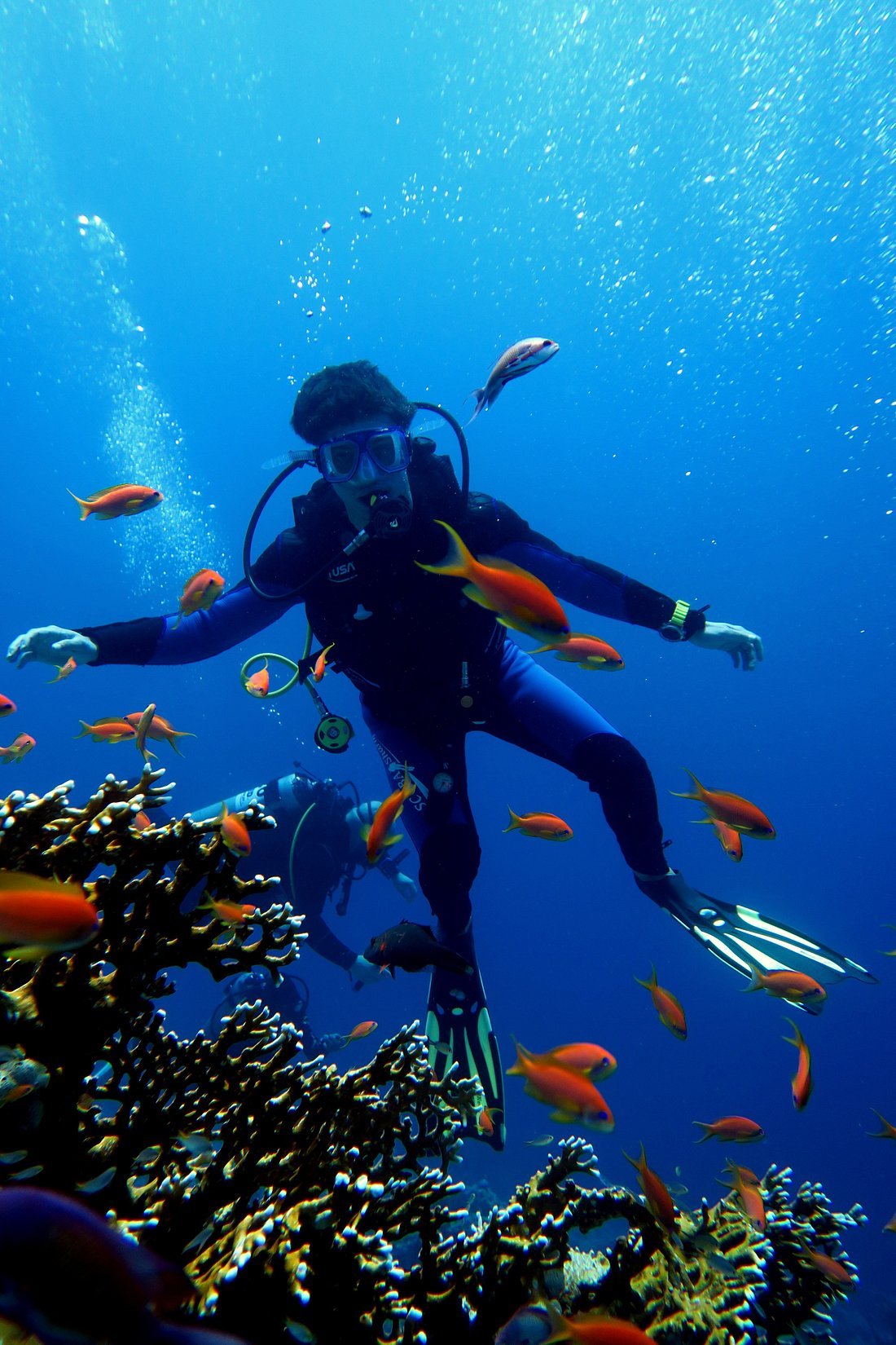 Sharm El Sheikh: Tiran Island Snorkeling and Diving Adventure