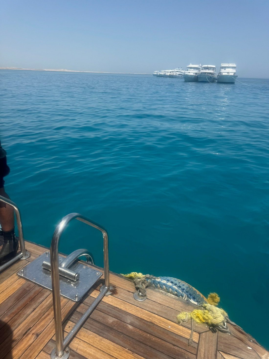 Sharm El Sheikh: Tiran Island Snorkeling and Diving Adventure