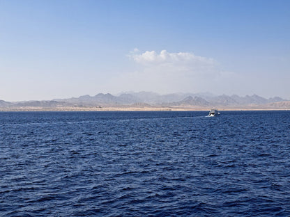 Sharm El Sheikh: Tiran Island Snorkeling and Diving Adventure