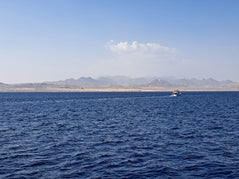 Sharm El Sheikh: Tiran Island Snorkeling and Diving Adventure