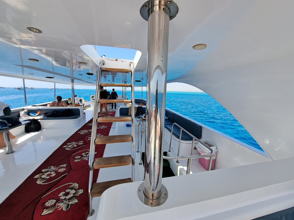Sharm El Sheikh: Tiran Island Snorkeling and Diving Adventure