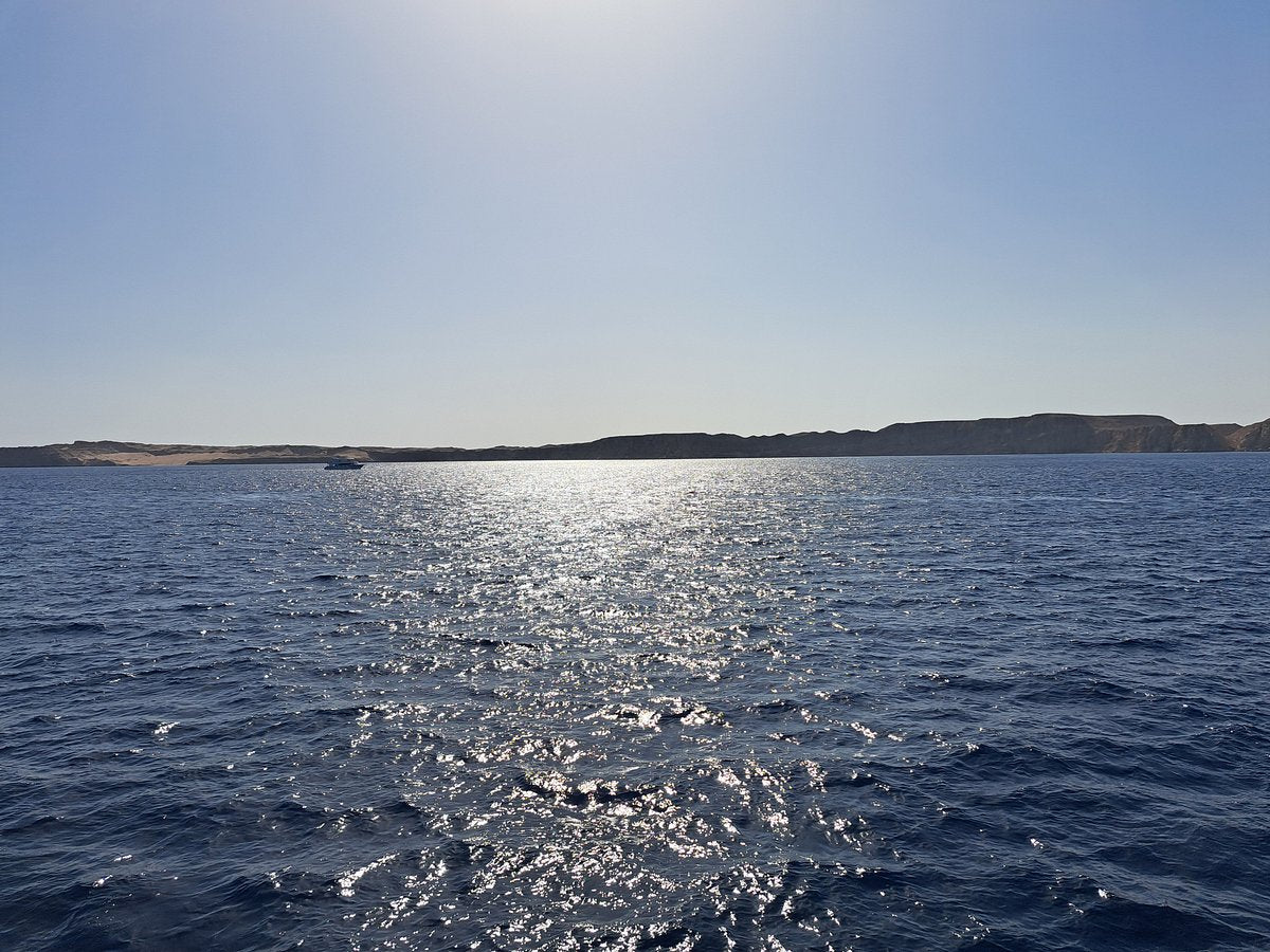 Sharm El Sheikh: Tiran Island Snorkeling and Diving Adventure