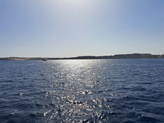 Sharm El Sheikh: Tiran Island Snorkeling and Diving Adventure
