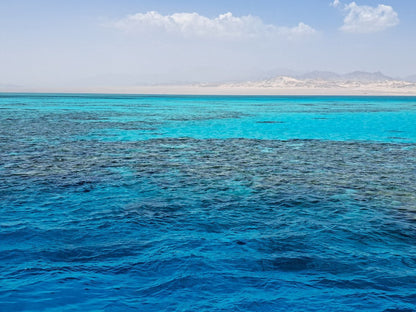 Sharm El Sheikh: Tiran Island Snorkeling and Diving Adventure