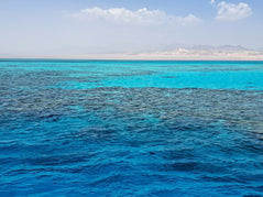 Sharm El Sheikh: Tiran Island Snorkeling and Diving Adventure