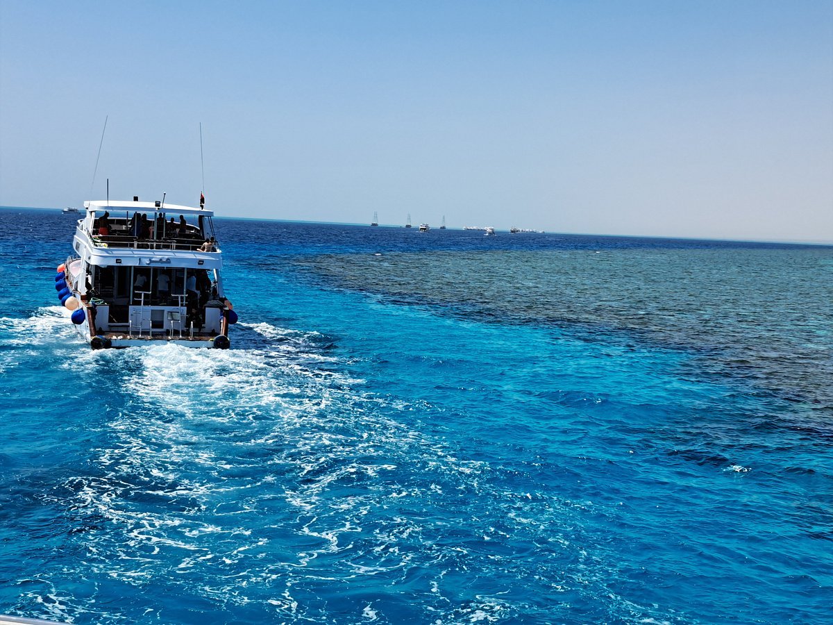 Sharm El Sheikh: Tiran Island Snorkeling and Diving Adventure
