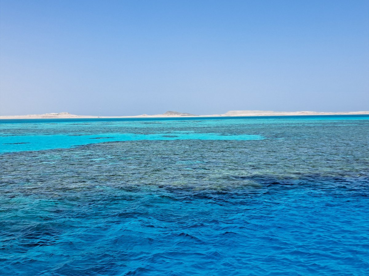 Sharm El Sheikh: Tiran Island Snorkeling and Diving Adventure