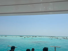 Sharm El Sheikh: Tiran Island Snorkeling and Diving Adventure