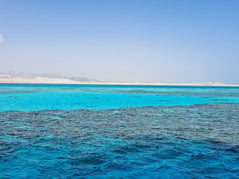 Sharm El Sheikh: Tiran Island Snorkeling and Diving Adventure