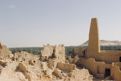 Siwa: 4x4 Safari Tour with Dune Bashing and Stargazing