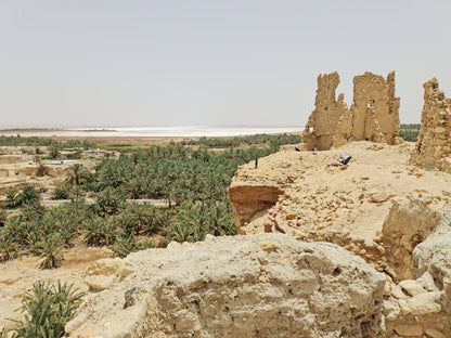Siwa: 4x4 Safari Tour with Dune Bashing and Stargazing