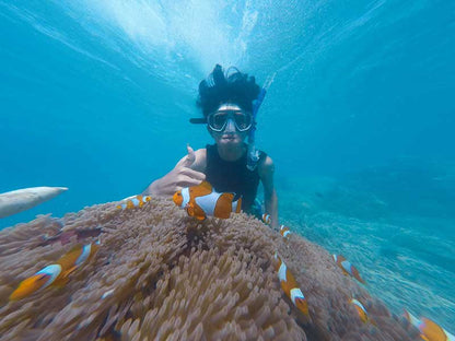 Dubai: PADI Basic Scuba Diving Course