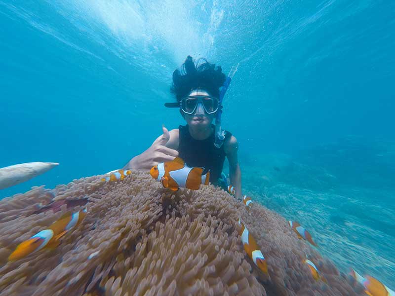 Aus Dubai: Tauchen und Schnorcheln in Fujairah