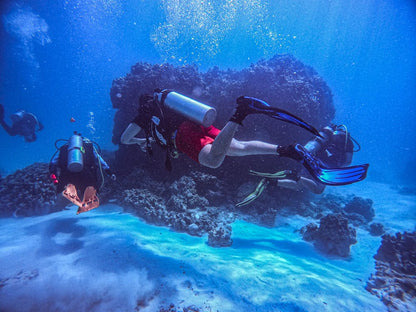 Tiran Island: Full - day Snorkeling and Diving Boat Trip