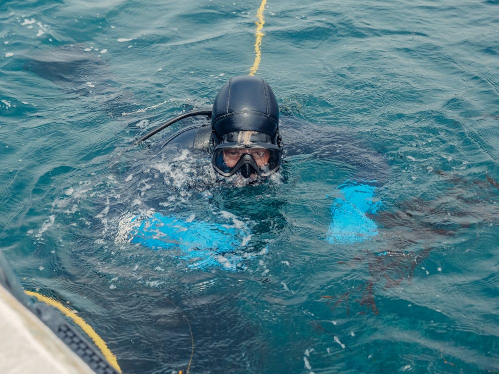 Tiran Island: Full - day Snorkeling and Diving Boat Trip