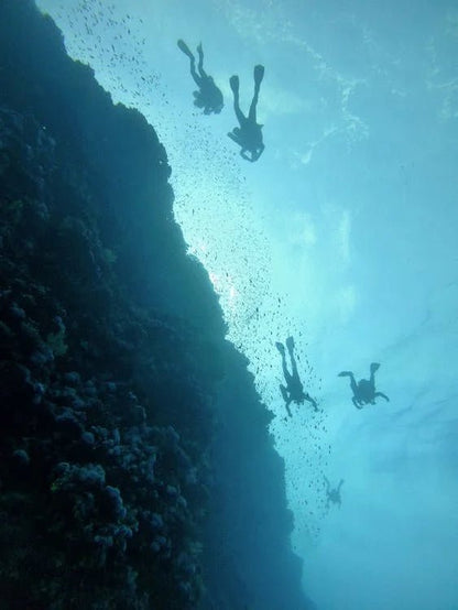 Tiran Island: Full - day Snorkeling and Diving Boat Trip